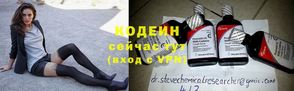 индика Нязепетровск