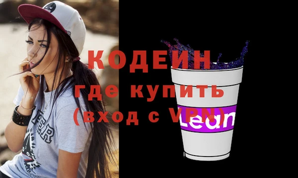 индика Нязепетровск