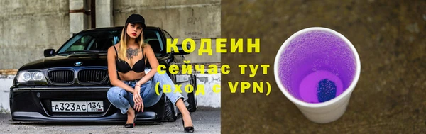 индика Нязепетровск