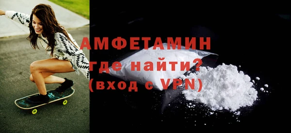сатива Няндома