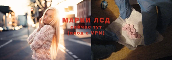 сатива Няндома