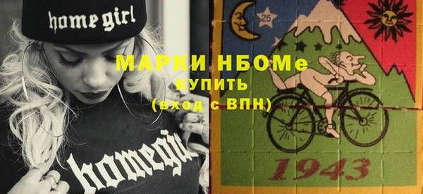 сатива Няндома