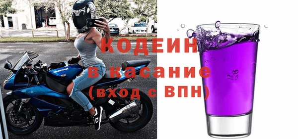 сатива Няндома
