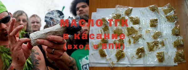 индика Нязепетровск