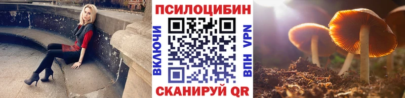 Купить где  Междуреченск  Псилоцибиновые грибы мицелий 